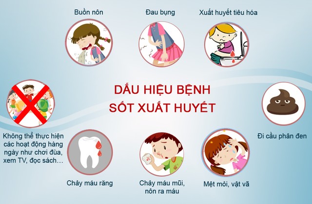 Bài tuyên truyền phòng chống dịch, bệnh sốt xuất huyết năm 2025- Ảnh 7.